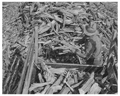 Concho Arizona Wood Loading Scene October 1940