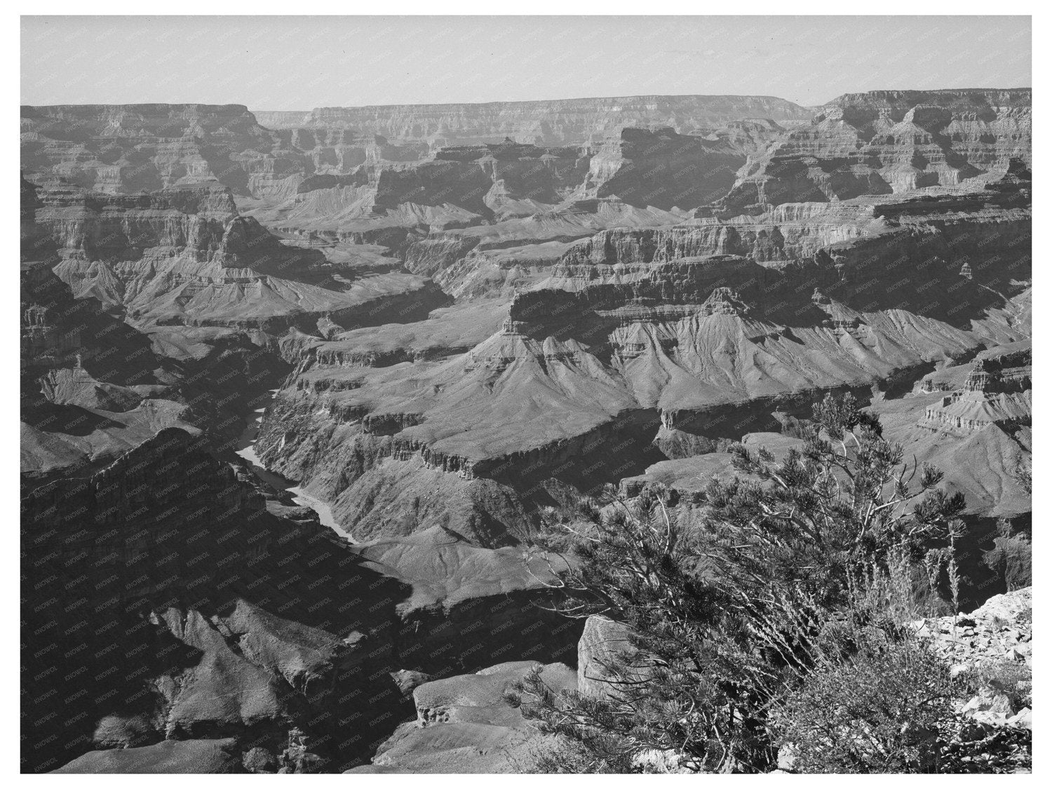Grand Canyon Vintage Photo October 1940 Historical Image