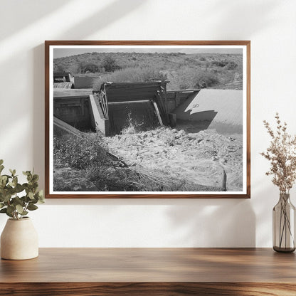 Irrigation Canal in Bernalillo New Mexico 1940