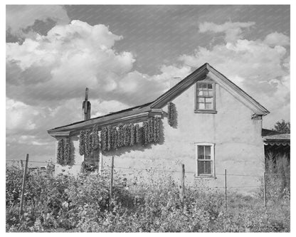 Adobe House with Drying Chili Peppers in Concho 1940