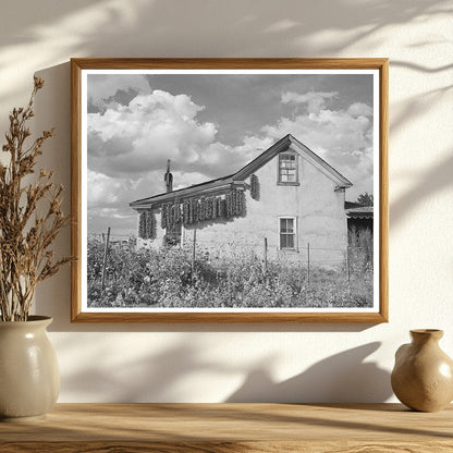 Adobe House with Drying Chili Peppers in Concho 1940