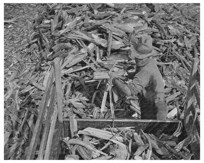 Chopping Wood for Winter Fuel in Arizona 1940