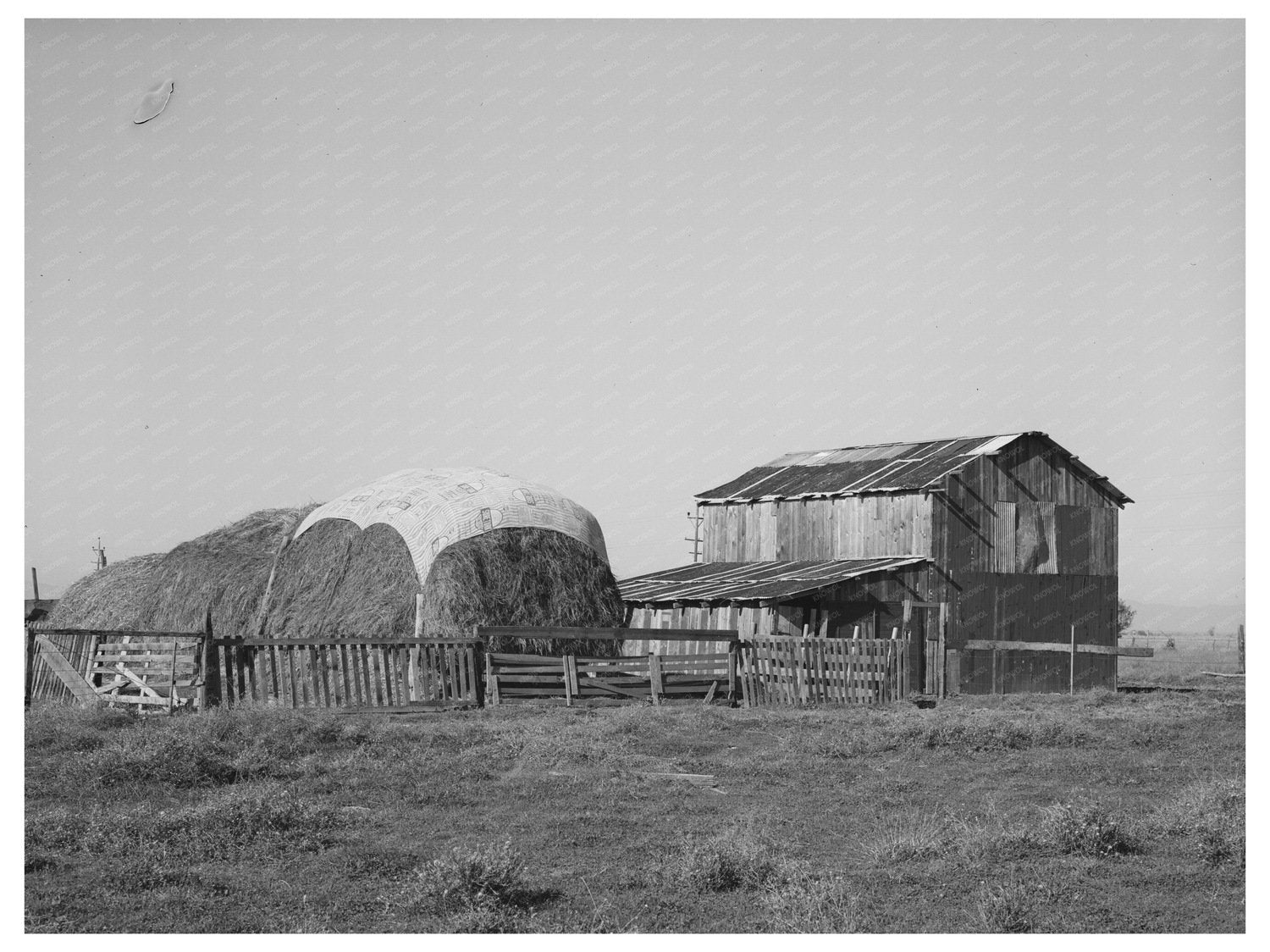 Haystack and barn of Jo Webster Tehama County California 1940