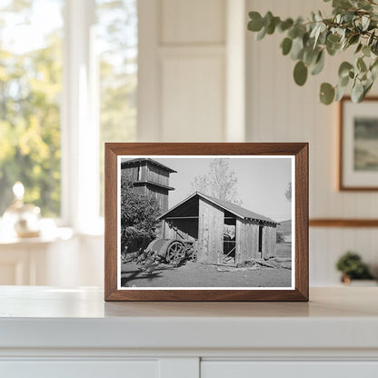 1940 Tractor Shed and Turkeys on John Frosts Farm California