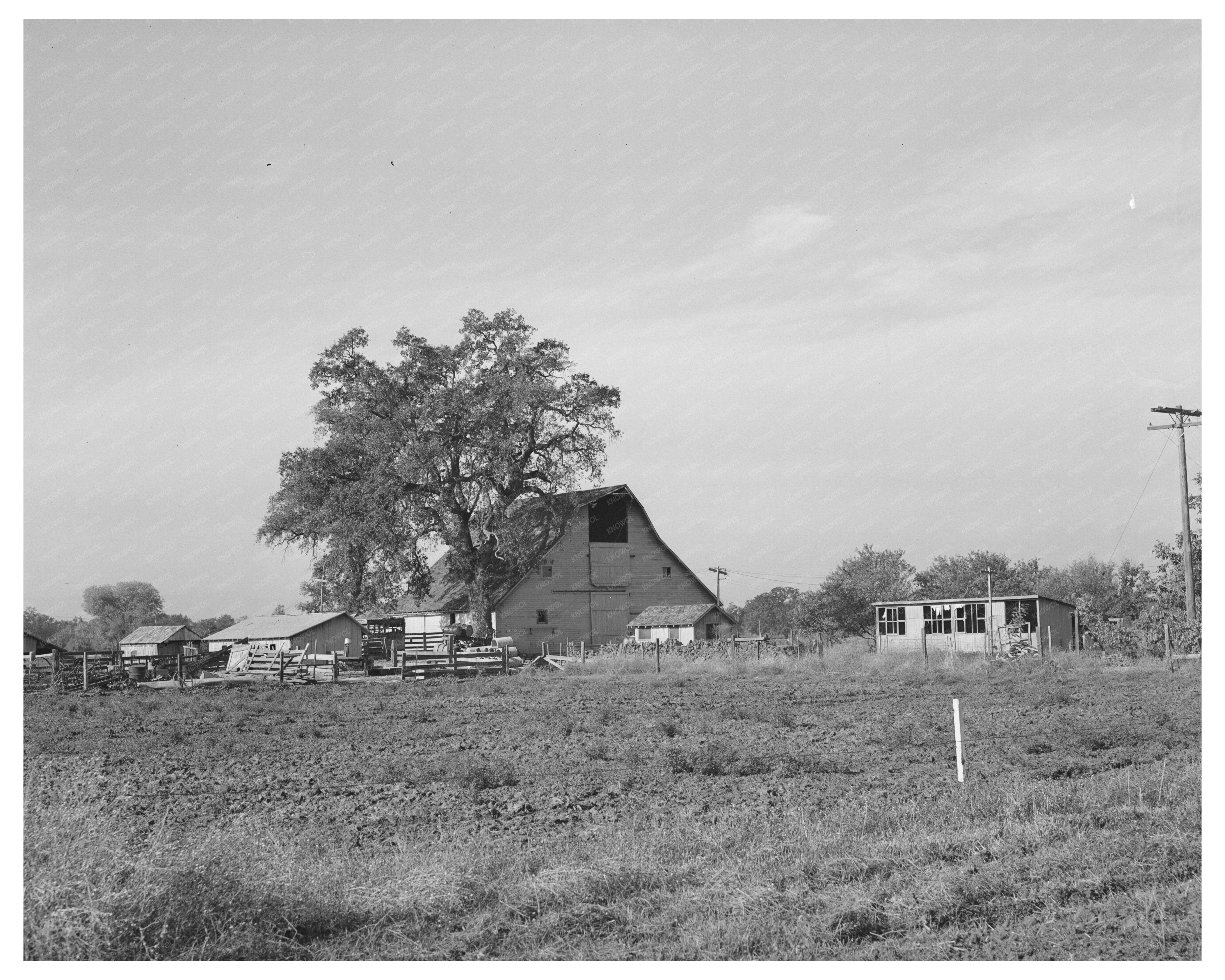 Farm Buildings on Forty Acres in Tehama County 1940