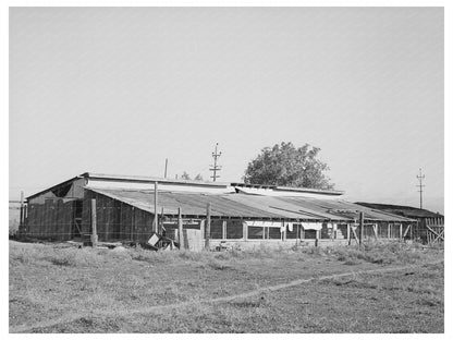 Chicken Houses in Tehama County California 1940
