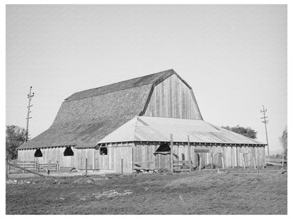 Carl Rubels Dairy Farm Barn Yuba County California 1940