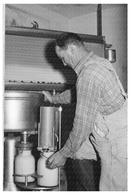 Milk Bottling at Mineral King Cooperative Farm 1940