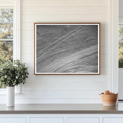 Tractor Tracks at Mineral King Farm Tulare County 1940