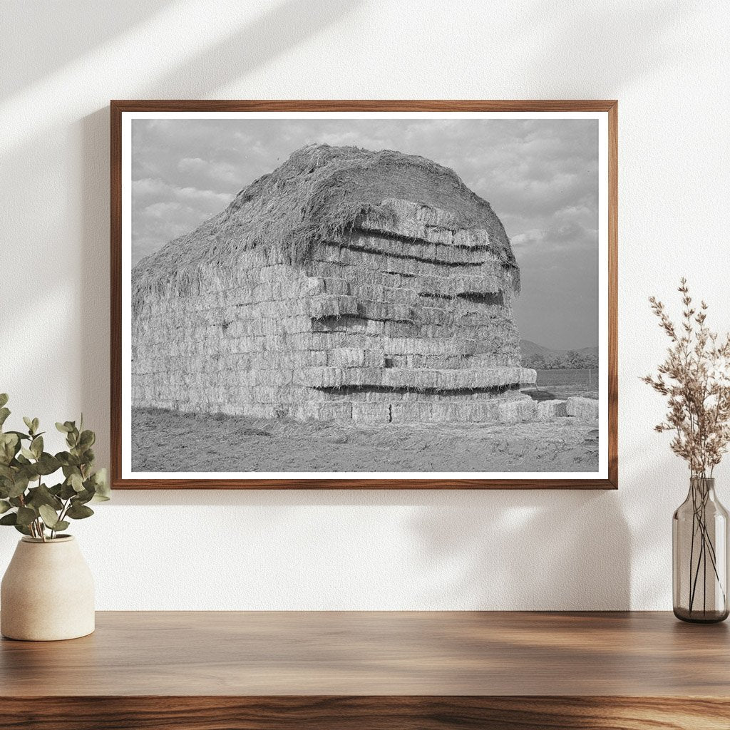 Baled Hay at Mineral King Farm Tulare County 1940