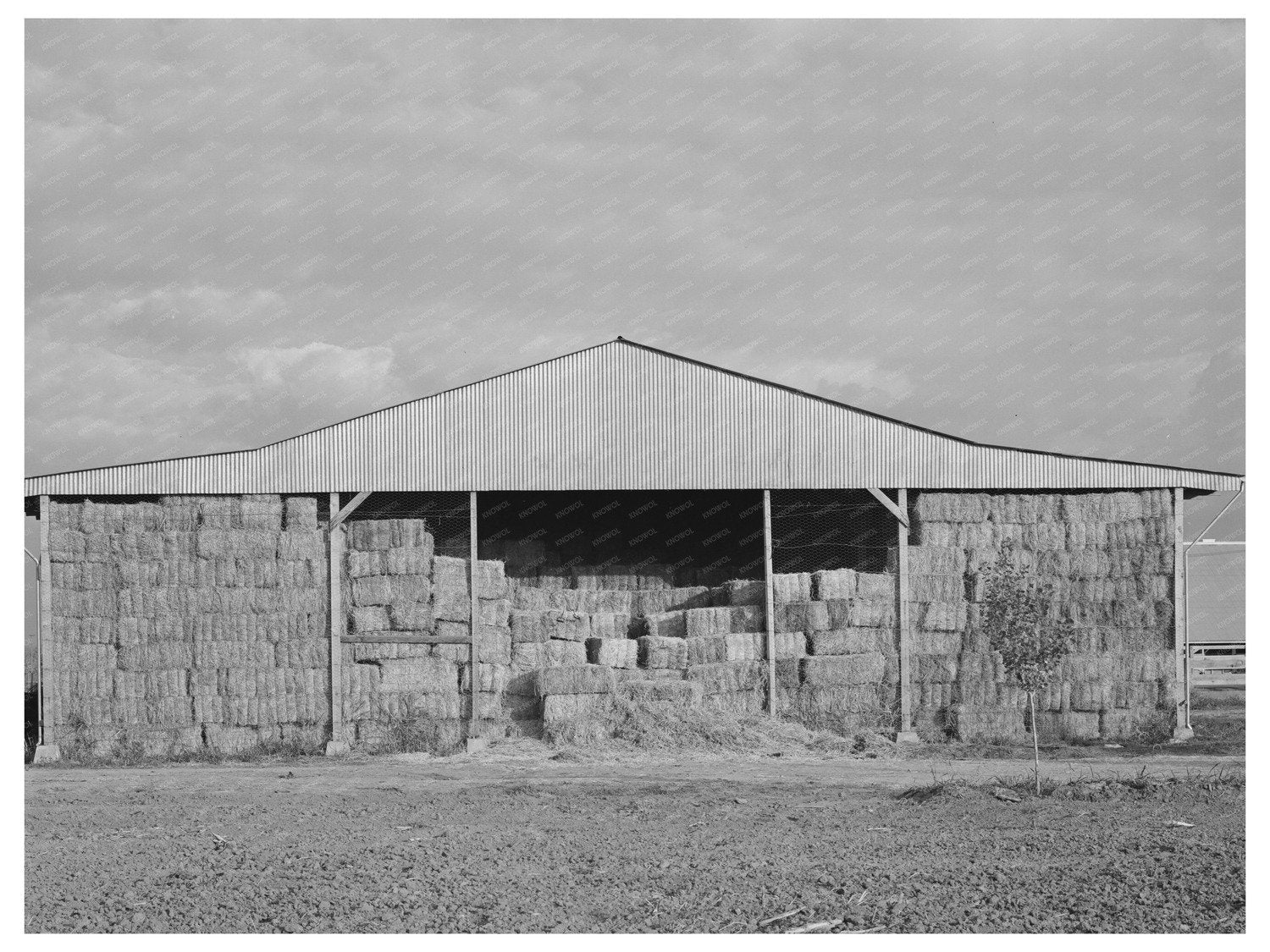 Hay Barns at Mineral King Cooperative Farm 1940