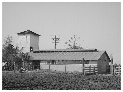 Carl Rubel Dairy Farmstead Yuba County 1940