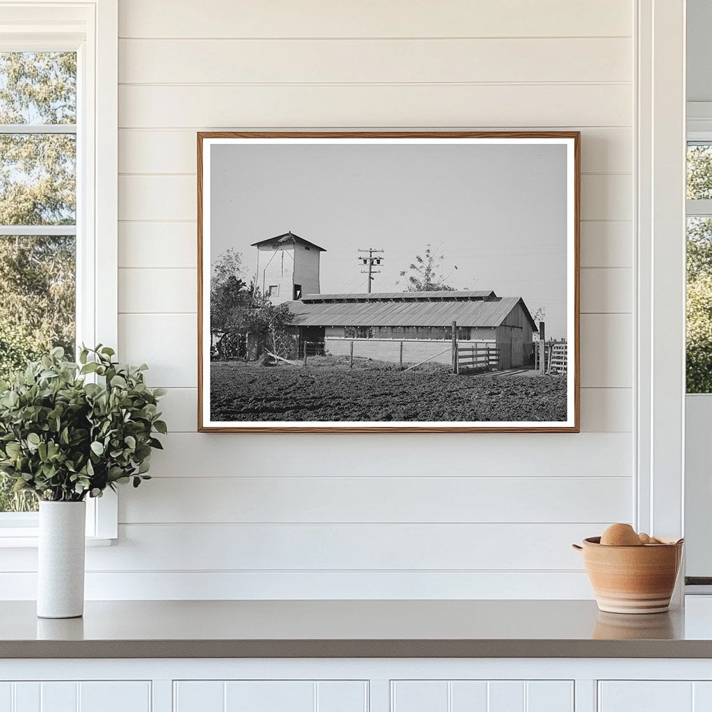 Carl Rubel Dairy Farmstead Yuba County 1940