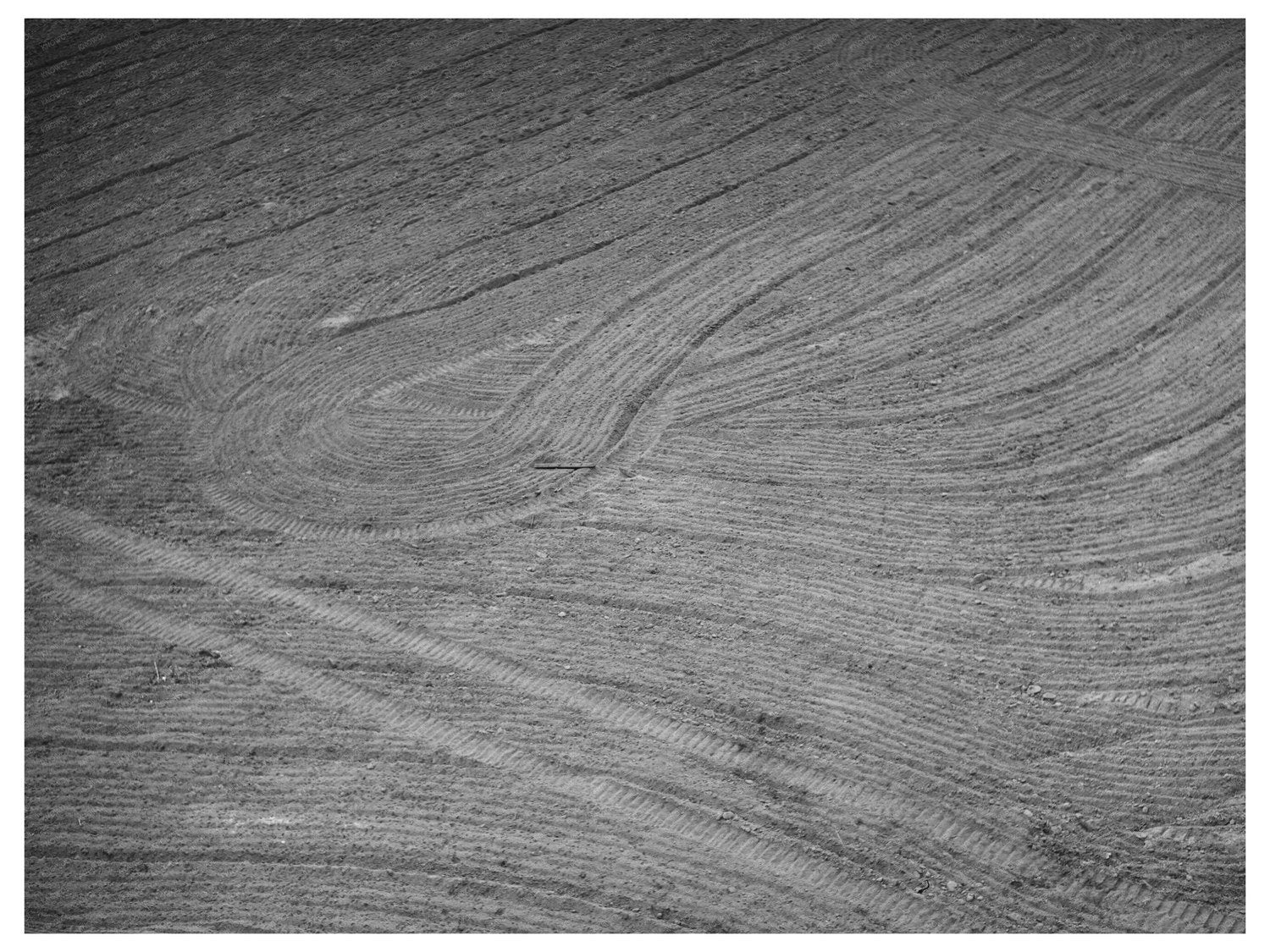 Harrowed Field at Mineral King Cooperative Farm 1940