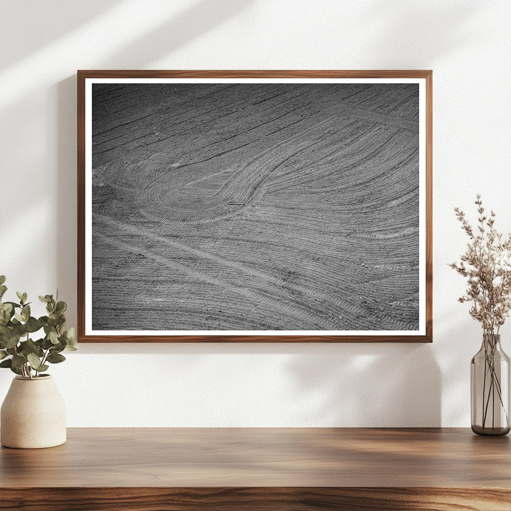 Harrowed Field at Mineral King Cooperative Farm 1940