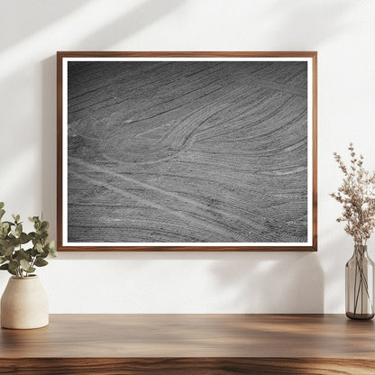 Harrowed Field at Mineral King Cooperative Farm 1940