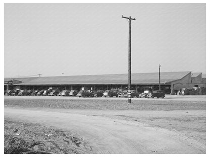 Earl Fruit Company Packing Sheds Kern County 1940