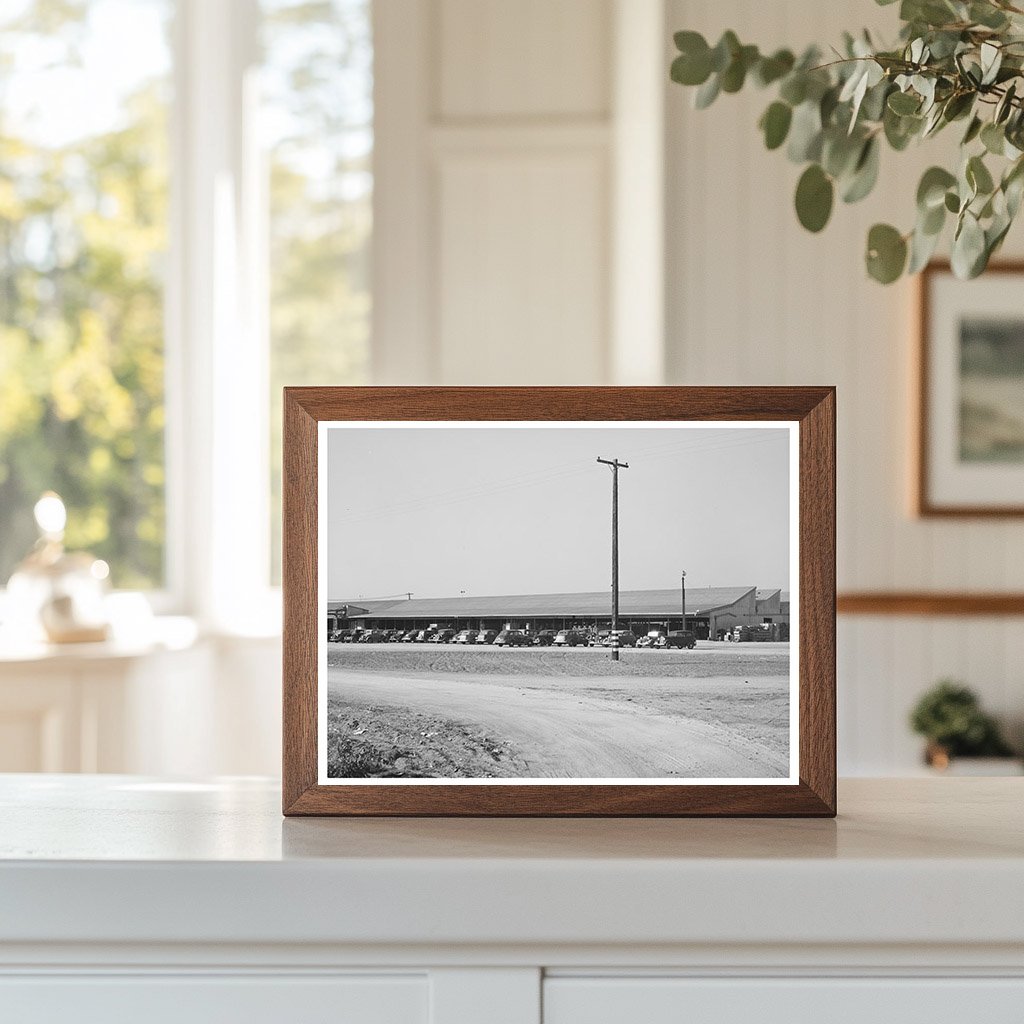 Earl Fruit Company Packing Sheds Kern County 1940