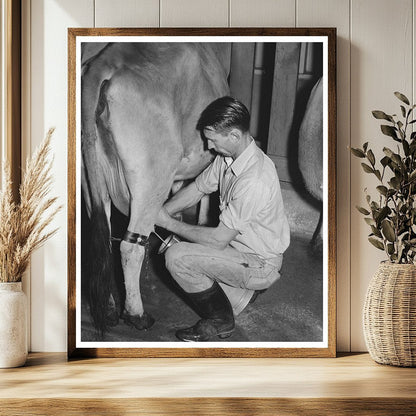 1940 Electric Milking Process at Mineral King Farm
