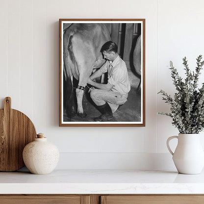 1940 Electric Milking Process at Mineral King Farm