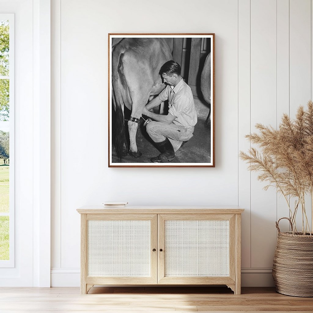 1940 Electric Milking Process at Mineral King Farm