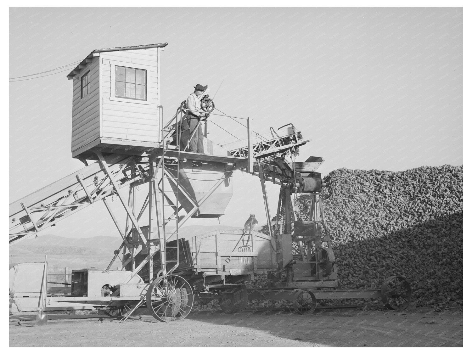 1940 Sugar Beet Unloading at Lewiston Plant in Utah