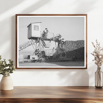 1940 Sugar Beet Unloading at Lewiston Plant in Utah