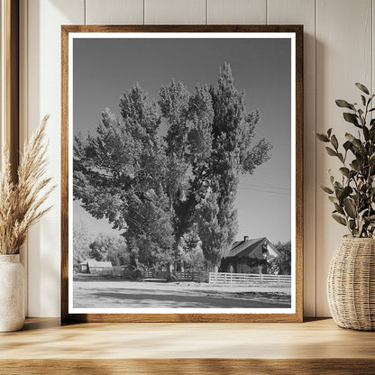 1940 Vintage Black and White Photo of Mormon Farmers Home Utah