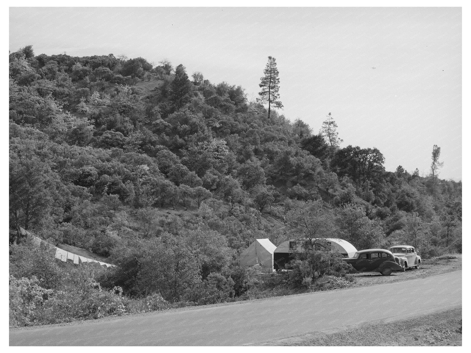 1940 Trailer and Tent Camp of Shasta Dam Workers