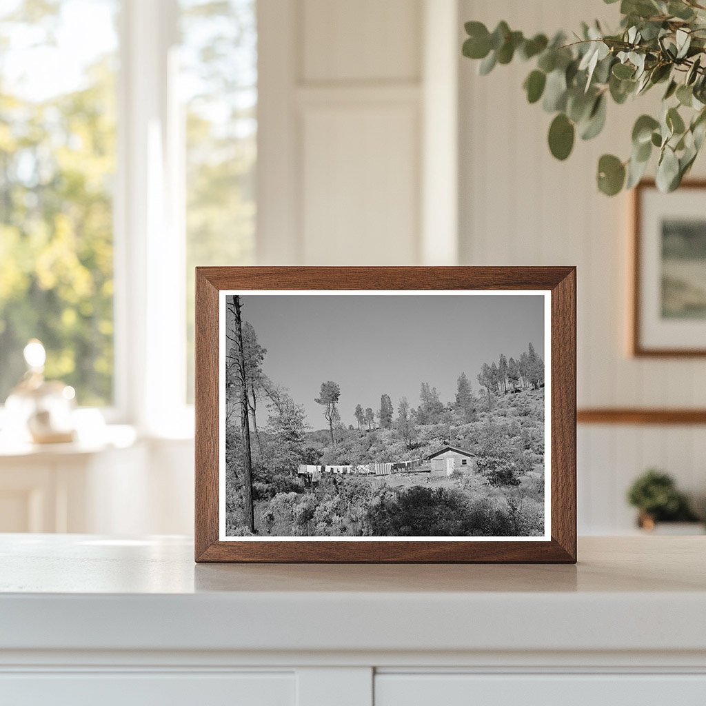 Shasta Dam Workers Makeshift Houses California 1940