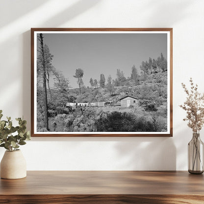 Shasta Dam Workers Makeshift Houses California 1940