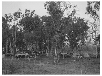 1940 Mission Valley California Tent Camp and Trailer Scene