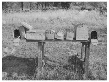 Vintage 1940 Auburn California Mailboxes and Farming Scene