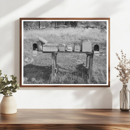 Vintage 1940 Auburn California Mailboxes and Farming Scene