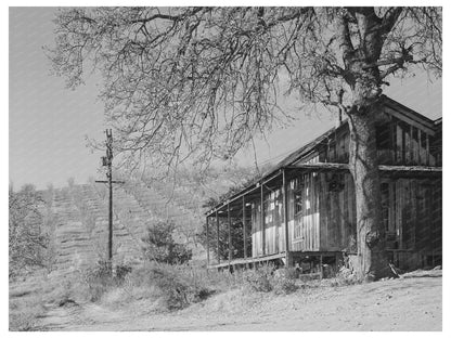 Farmhouse and Orchards in Auburn California 1940