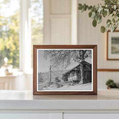 Farmhouse and Orchards in Auburn California 1940