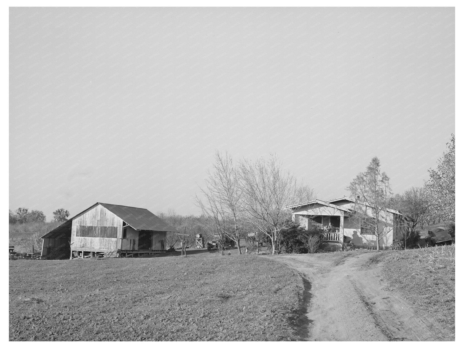 Placer County Fruit Farmers House and Shed 1940
