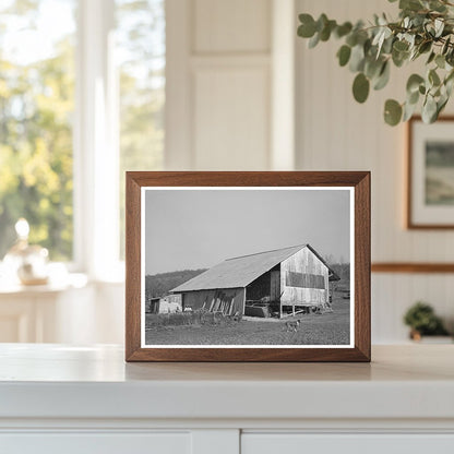 Packing Shed and Barn in Placer County California 1940