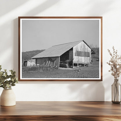 Packing Shed and Barn in Placer County California 1940