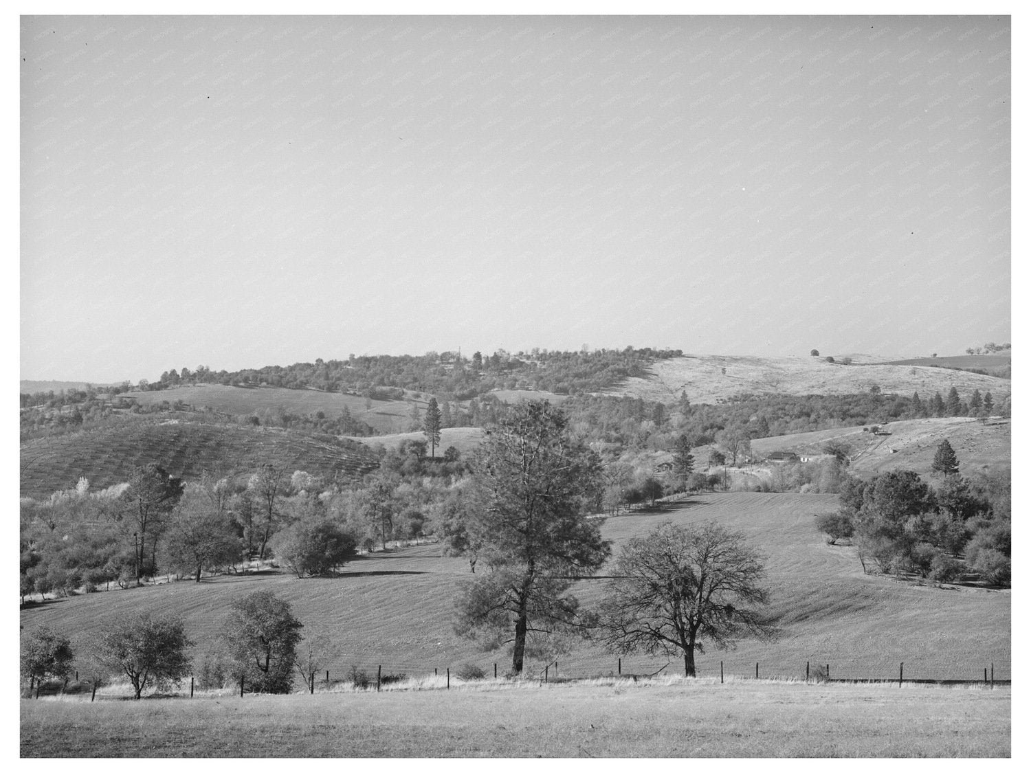 Placer County California Farmland December 1940