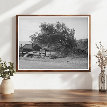 Deserted Dance Platform Placer County California 1940