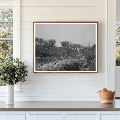 Erosion in Orchards Placer County California December 1940