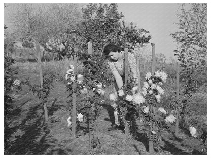 Fruit Farmers Wife in Flower Garden Placer County 1940