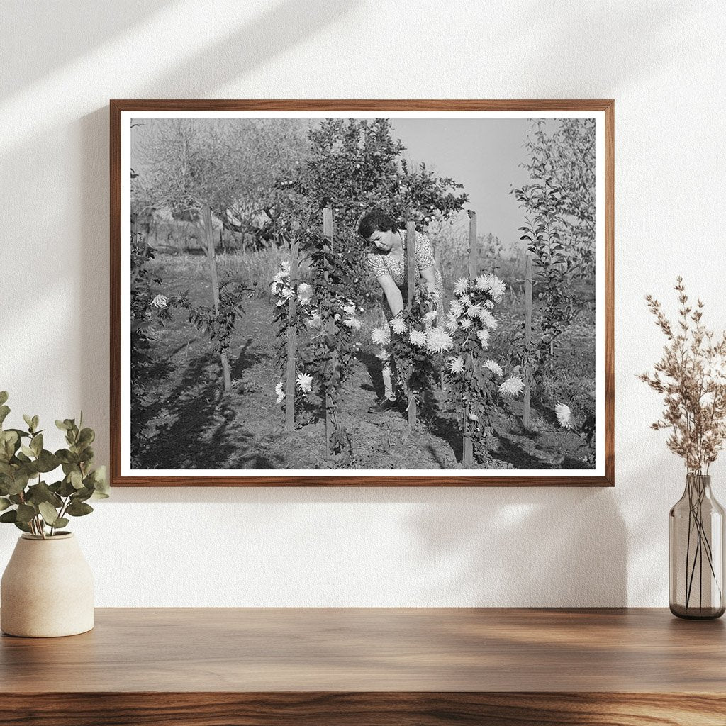Fruit Farmers Wife in Flower Garden Placer County 1940