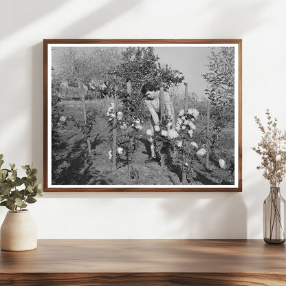 Fruit Farmers Wife in Flower Garden Placer County 1940