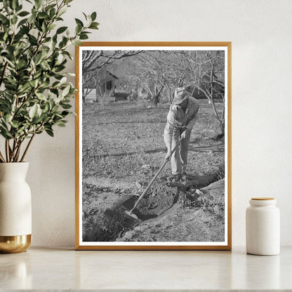 Fruit Farmer Clearing Irrigation Ditch Placer County 1940