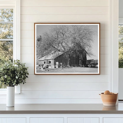 Placer County Fruit Farmer Barn December 1940