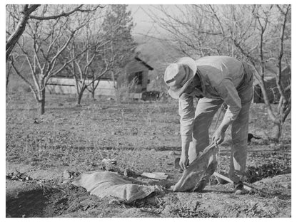 1940 Farmer Banking Irrigation Ditches Placer County California