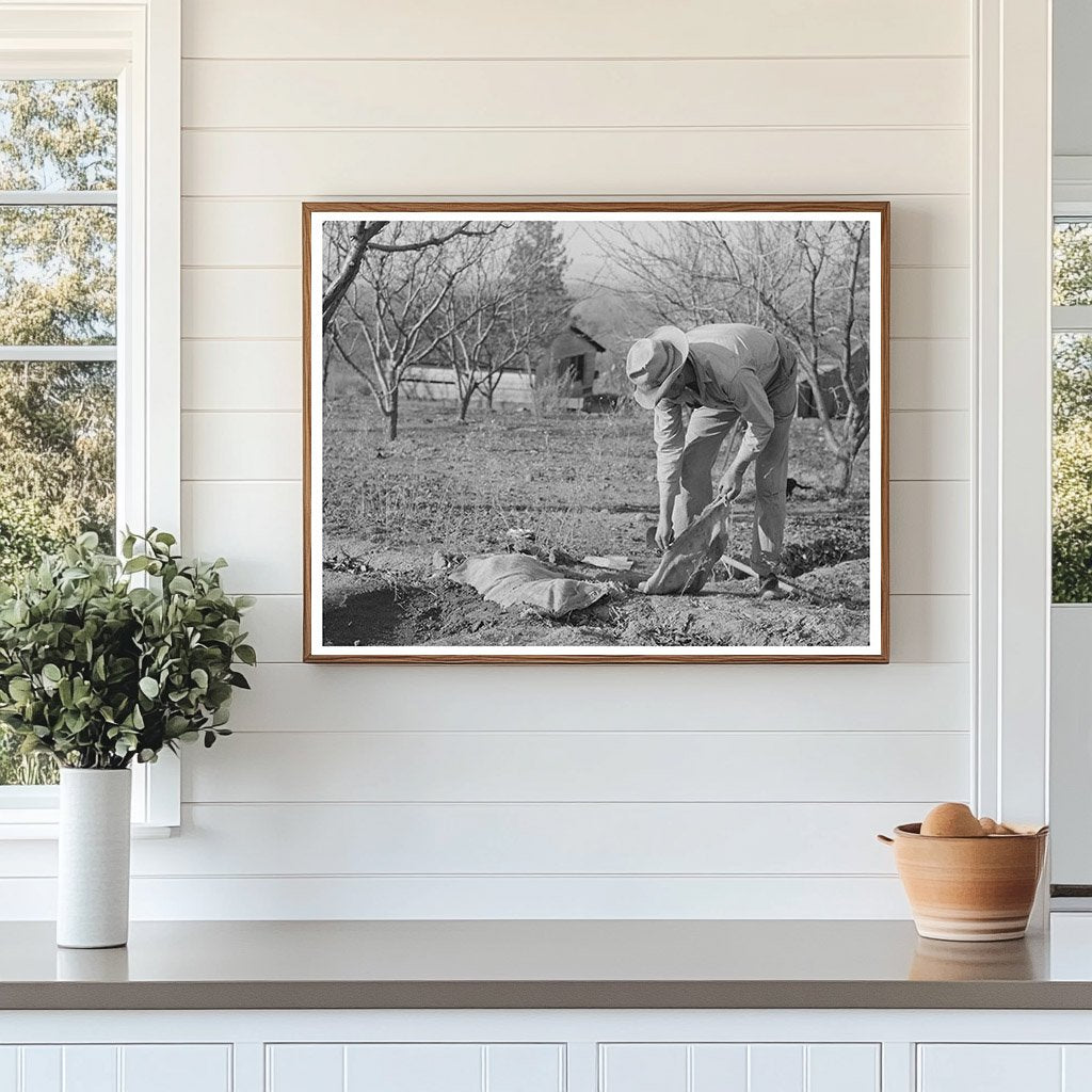 1940 Farmer Banking Irrigation Ditches Placer County California