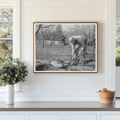 1940 Farmer Banking Irrigation Ditches Placer County California